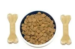 Was Hunde fressen dürfen