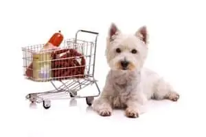  Kleiner weisser Hunde mit Einkaufswagen - Hundefutter online kaufen
