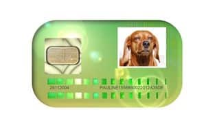 Versicherung für Hunde Versicherten Karte der Hundeversicherung