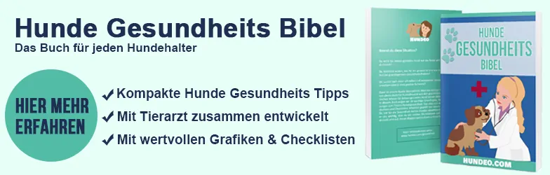 Hunde Gesundheitsbibel