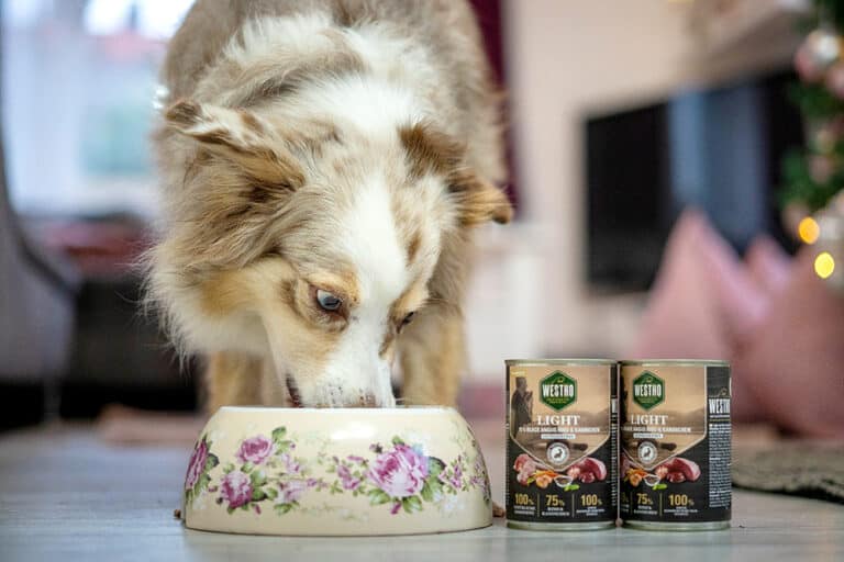 22 x 150 g Animonda vom Feinsten Hundefutter für 11,99 € bei ZooRoyal