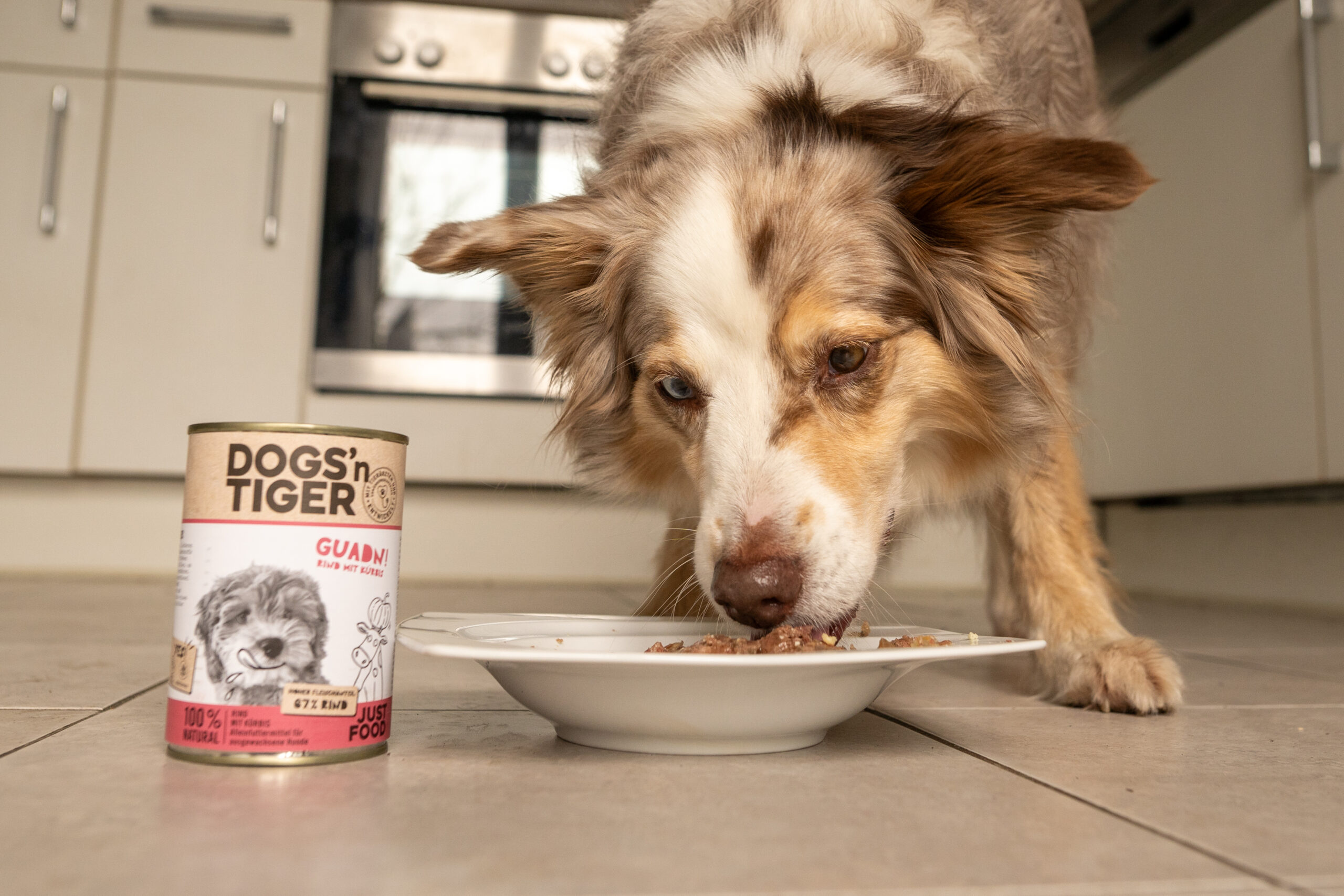 Dogs'n Tiger "Guadn" Rind mit Kürbis Kräuter Test