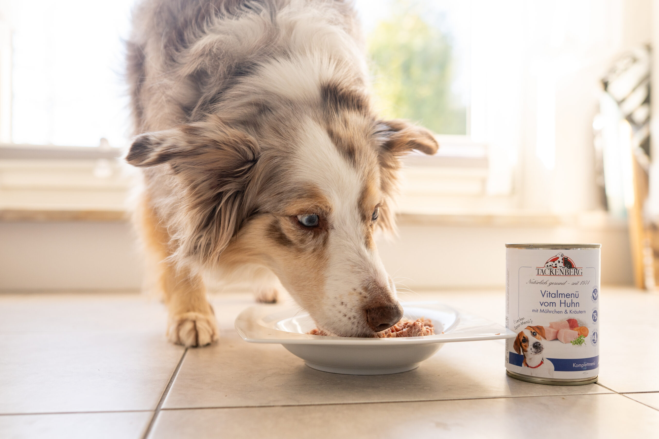 Tackenberg Vitalmenü vom Hund Verträglichkeit