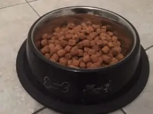 Hill´s Hundefutter Test im Napf