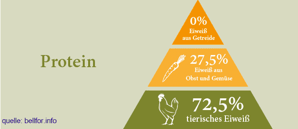 Protein Pyramide