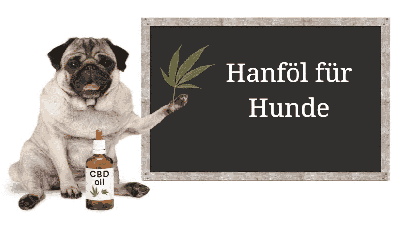 Hanföl für Hunde