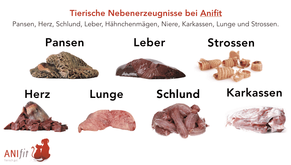 Übersicht d